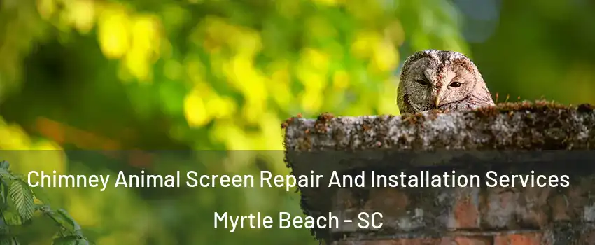  Chimney Animal Screen Repair And Installation Services Myrtle Beach - SC