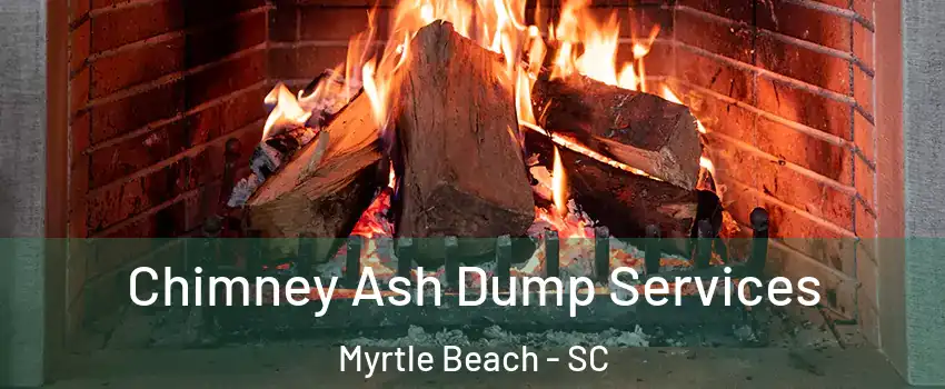  Chimney Ash Dump Services Myrtle Beach - SC