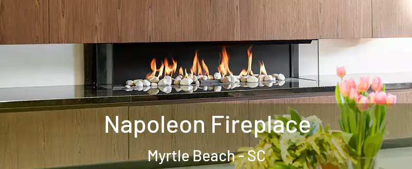  Napoleon Fireplace Myrtle Beach - SC